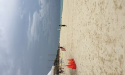 Sandos Playacar reviews, Wedding Venue