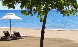 Casa Colonial Beach & Spa Wedding Venue