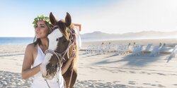 Barcelo Gran Faro Los Cabos Wedding Venue