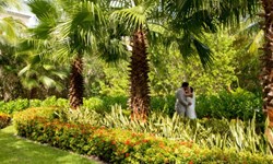 Hacienda Tres Rios Wedding Venue