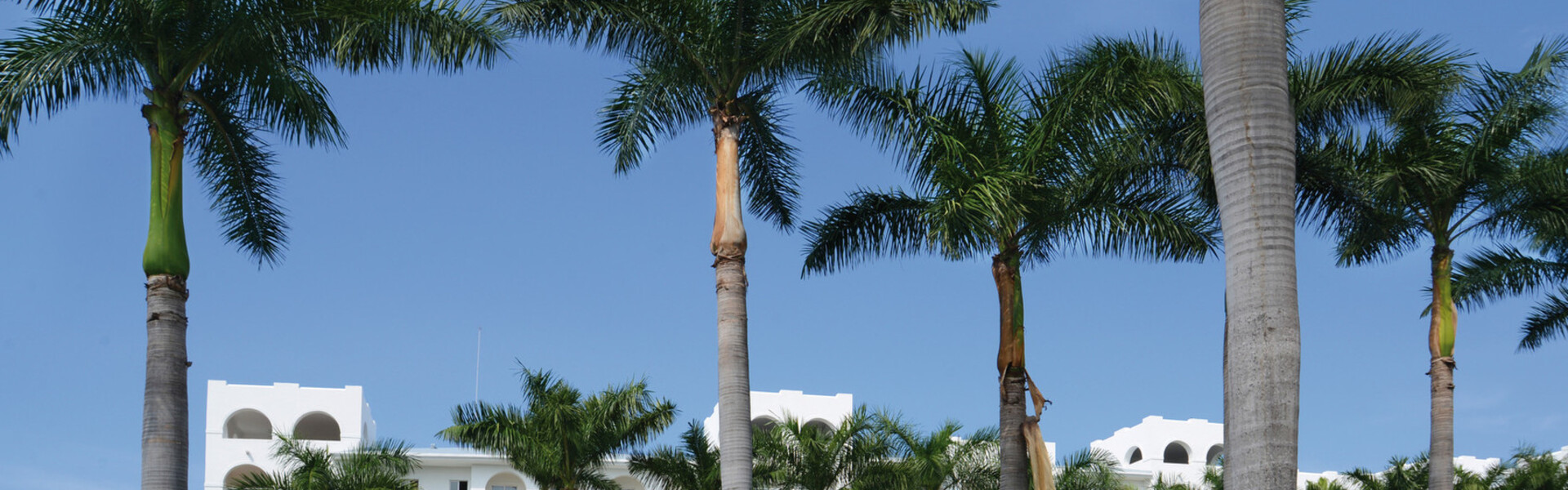 Hotel Riu Jalisco Wedding Venue
