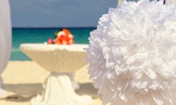 Allegro Playacar Wedding Venue