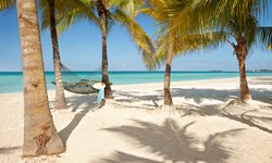 Couples Swept Away Wedding Venue