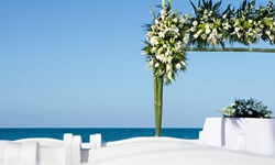 Beloved Playa Mujeres Wedding Venue