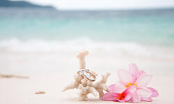 Grand Oasis Palm Wedding Venue