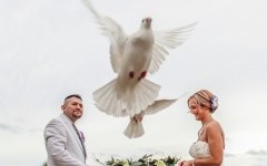 Hard Rock Hotel Vallarta Wedding Venue