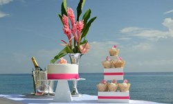 Couples Tower Isle Wedding Venue