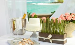 Couples Negril Wedding Venue