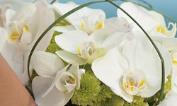Now Garden Punta Cana Wedding Venue