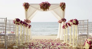 Villa del Arco Beach Resort & Spa Cabo San Lucas Wedding Venue