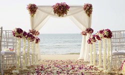 Villa Del Arco Beach Resort & Spa Cabo San Lucas Wedding Venue