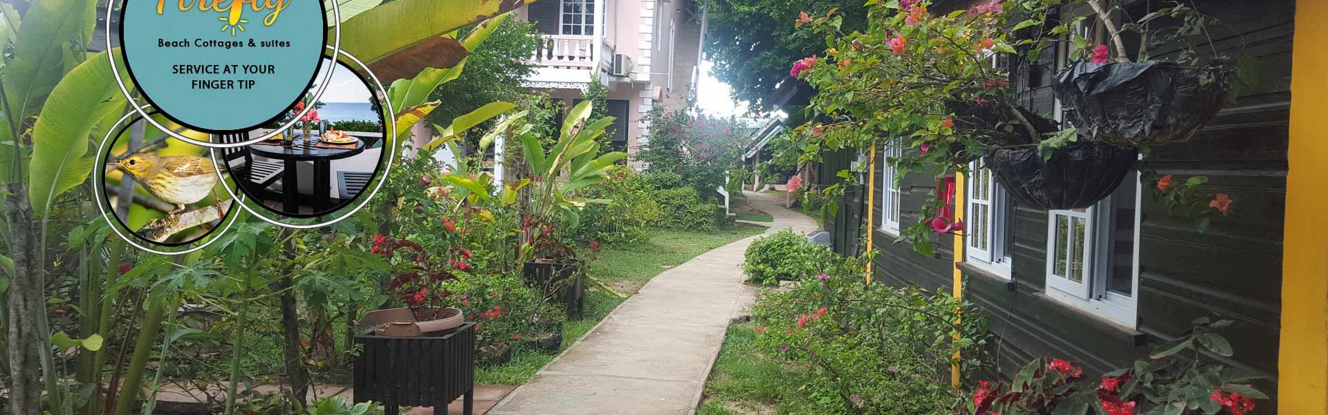 Firefly Beach Cottages Wedding Venue