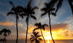Napili Kai Beach Resort Wedding Venue
