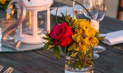Solmar Resort Wedding Venue