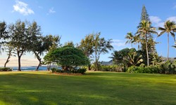 Kauai Shores Hotel Wedding Venue