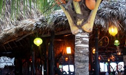 Hotel Diamante K Wedding Venue