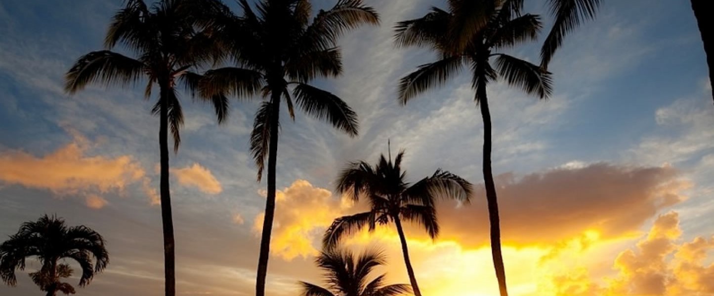 Napili Kai Beach Resort Wedding Venue