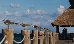 Villa Del Palmar Cancun Beach Resort & Spa Wedding Venue