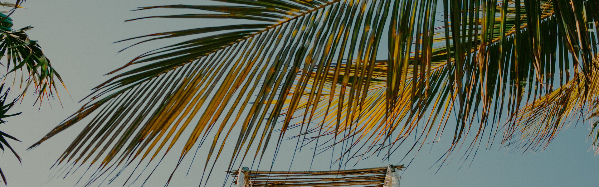Nest Tulum Wedding Venue
