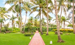 Be Live Collection Canoa Wedding Venue