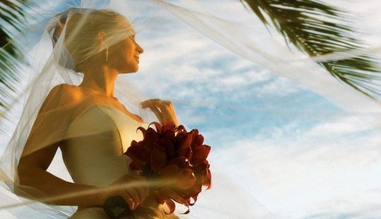 Halekulani Hotel Wedding Venue