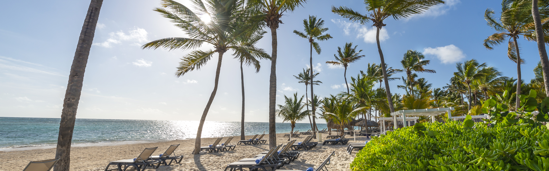 Catalonia Bavaro Beach, Casino & Golf Resort Wedding Venue