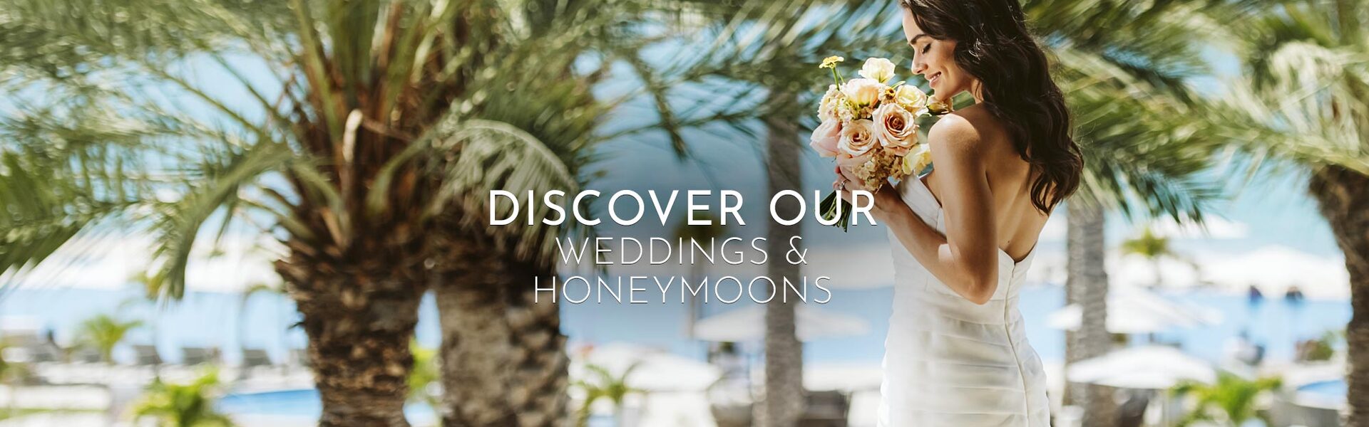 Le Blanc Spa Resort Los Cabos Wedding Venue