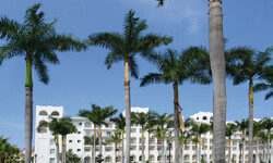 Hotel Riu Jalisco Wedding Venue