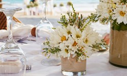 Casa Colonial Beach & Spa Wedding Venue